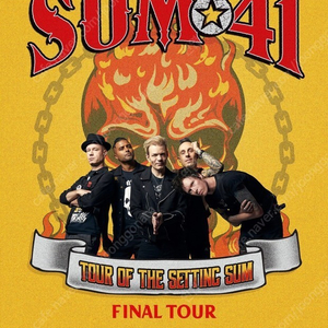 Sum41 티켓 구합니다 (스탠딩 300번대 이내 날짜 상관 없음)