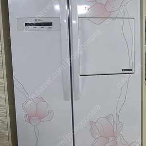 LG 디오스 양문 냉장고 (광주)
