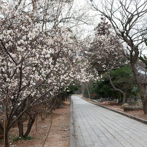 봉프레천연화장품 4만원상품권