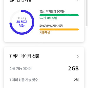 SKT데이터 2기가