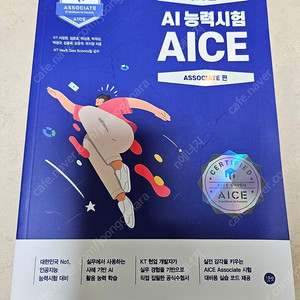 시나공 AI능력시험 AICE