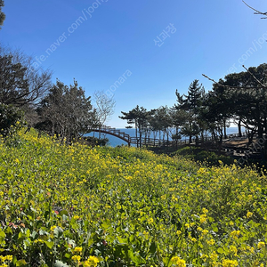 스피드옥션 전국 1년 이용권 할인권