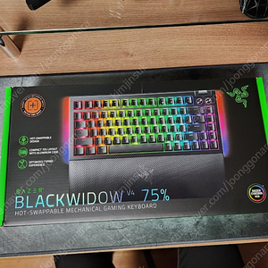 RAZER 레이저 오렌지축 81개 판매합니다.