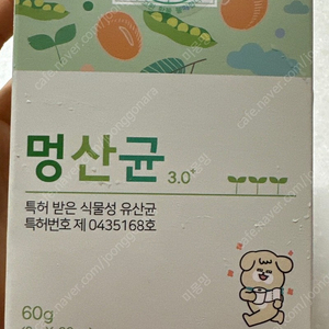 강아지 유산균 멍산균