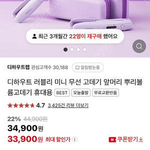 디 하우트 휴대용 고데기