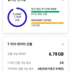 sk 데이타 2기가 판매