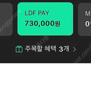 LDF PAY 72만원