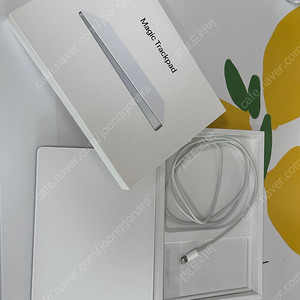 애플 매직 트랙패드2 (Magic Trackpad)