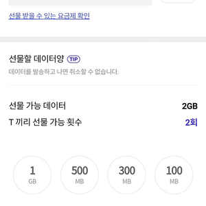 SKT 데이터 1GB