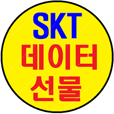 skt 데이터 2기가 팝니다