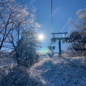 용평 스프링 시즌권 구합니다