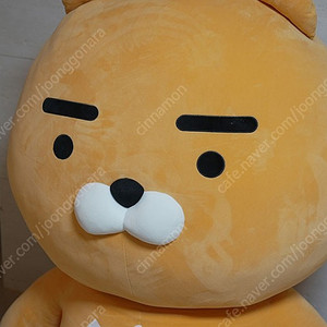 카카오프렌즈샵 온라인전용 자이언트 라이언 인형 한정판 팝니다 (20만원)