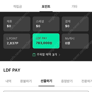 LDF PAY(페이) 76만원-> 71만원 판매