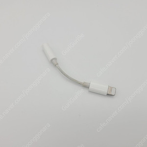 애플 정품 아이폰 이어폰 젠더 케이블