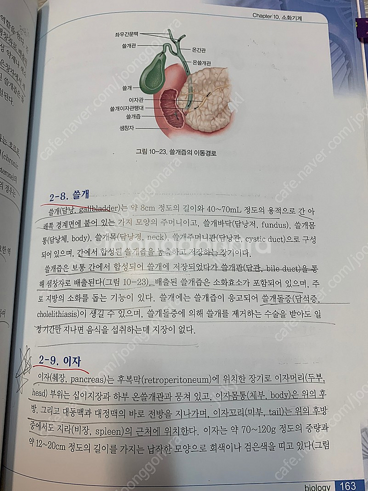 핵심생물학 은학사--1