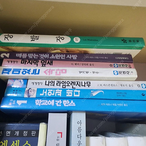 유명소설책