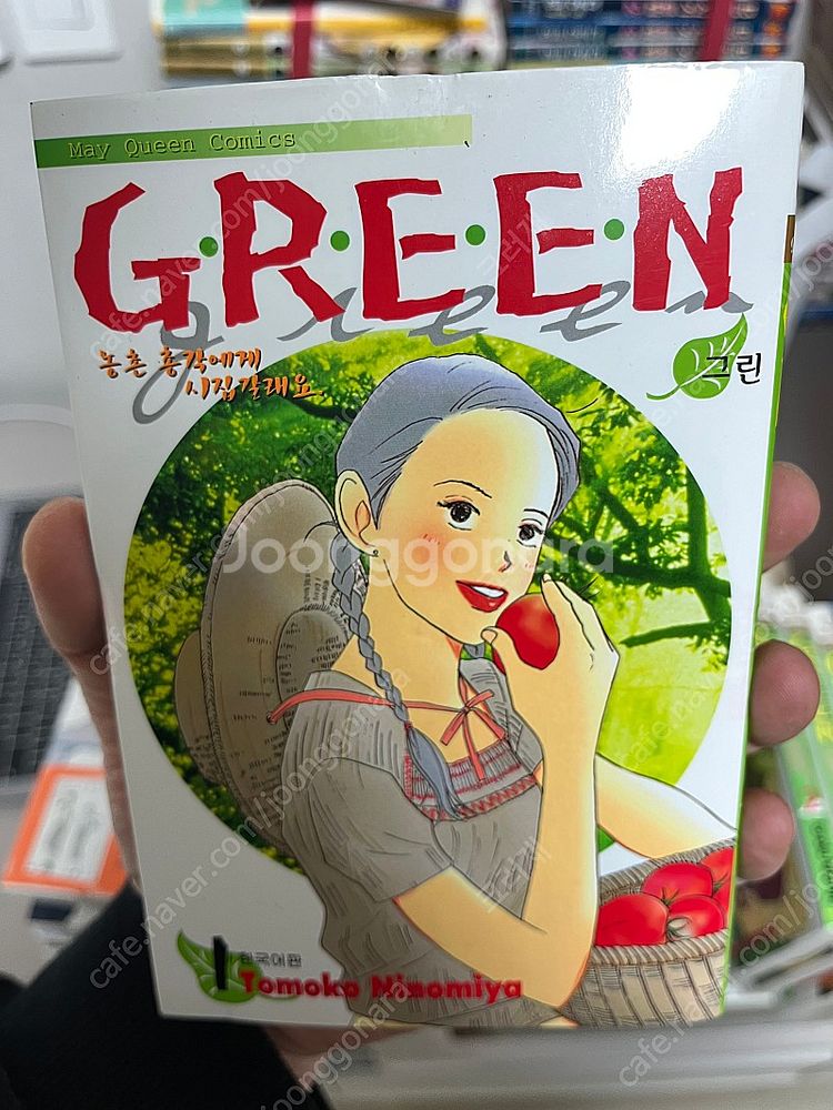 [만화책] 구루구루, 악역영애이기때문에, 그린, G전장...--7