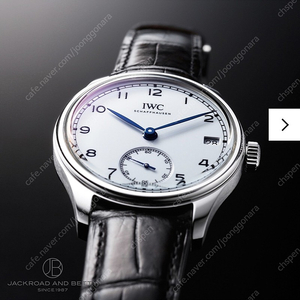 IWC 포트루기저 150주년 한정판 뽈뚜기 근본