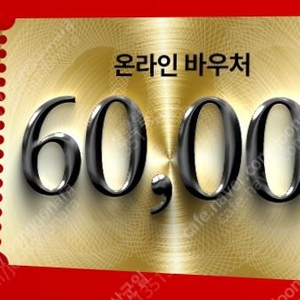 코스트코 온라인몰 바우처 6만원권