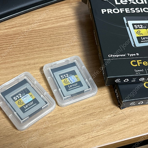 렉사 프로페셔널 골드 CFexpress B 512GB
