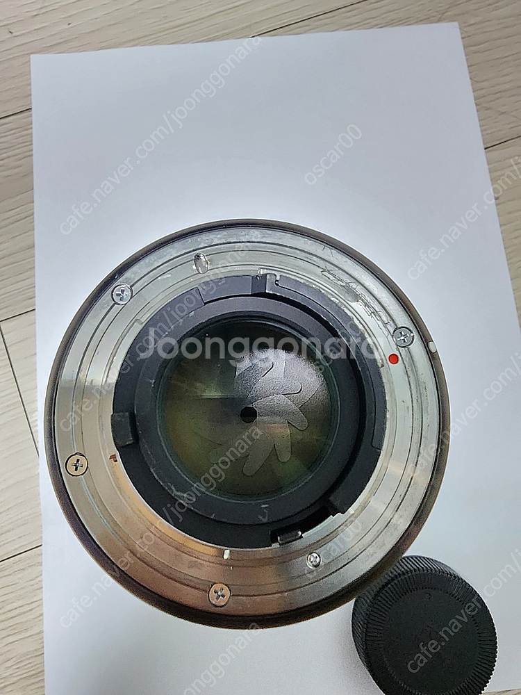 니콘 Z50, 시그마 18-35 니콘 F마운트, 니콘 85mm 1.8G--3