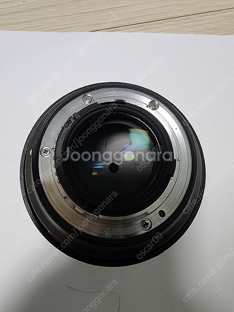 니콘 Z50, 시그마 18-35 니콘 F마운트, 니콘 85mm 1.8G--7