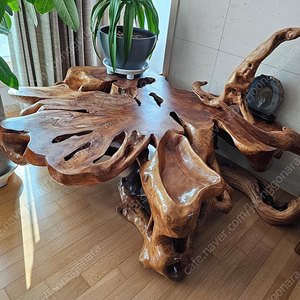 느티나무 뿌리 원목 테이블