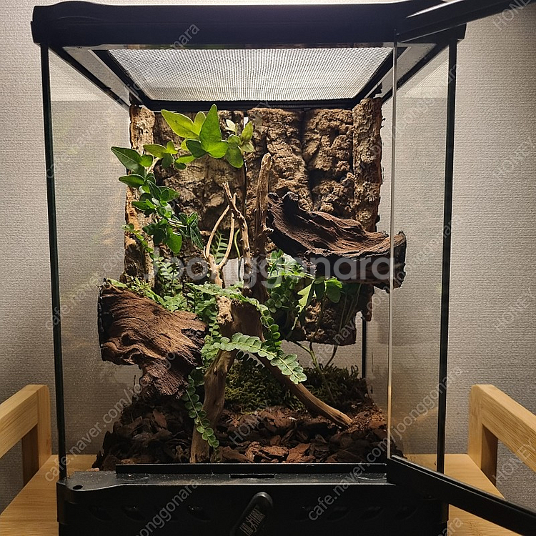 202030 엑소테라 비바리움--0