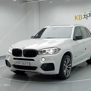 BMWX5 (F15) xDrive 30d 비전 100에디션 (5인승)