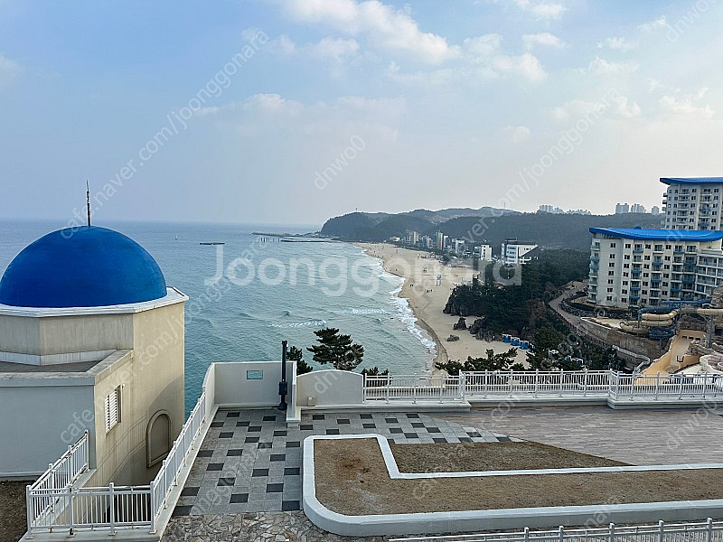 대명리조트 하프 스위트회원권 구합니다--0