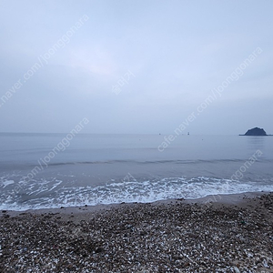 도요 올터레인2 5점대 우핸구합니다