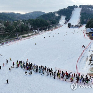 [구매] 2/24(내일) 스키장 콘도 저렴하게 양도받아요