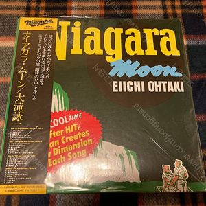 오타키 에이치 Eiichi Ohtaki - Niagara Moon LP