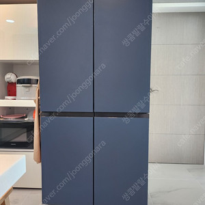비스포크 4도어 냉장고패널 팝니다