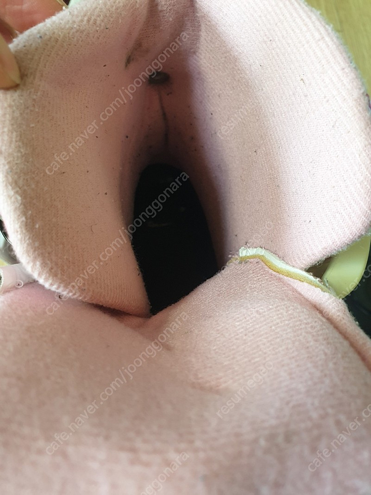 인라인스케이트 이미지