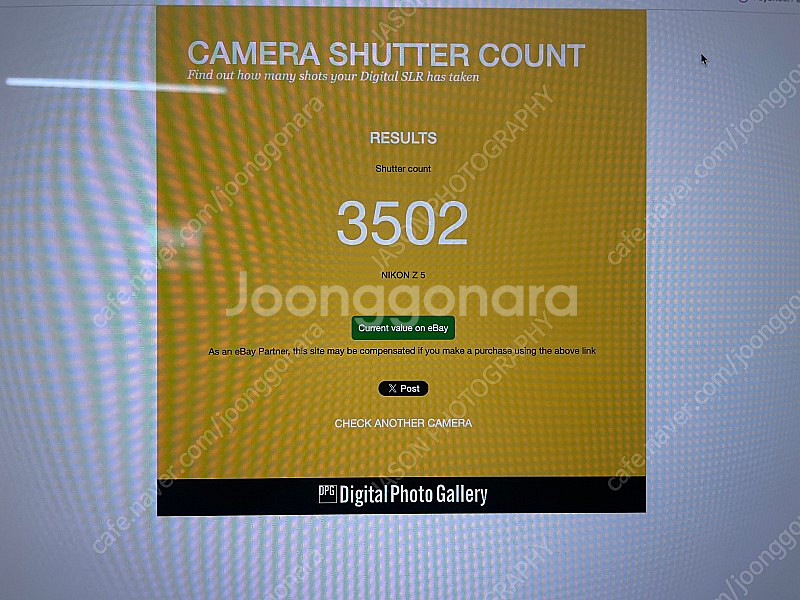 니콘 Z5 빌트록스 85mm F1.8--3