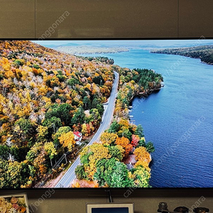 LG 나노셀 65인치 4K UHD TV 팝니다. (65SJ8500)