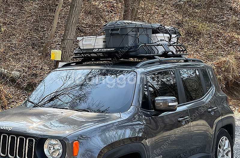 레니게이드 루프바스켓, 툴레 가로바--0