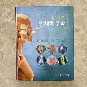 알기쉬운 인체해부학 학지사메디컬