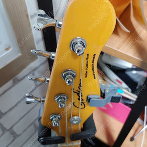 godin(고딘) bass / Shifter Classic PJ 4현 베이스