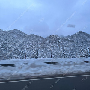 설악 워터피아 대인 주간권, 야간권