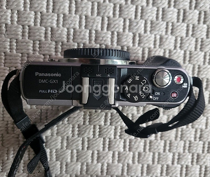 파나소닉 GX1 + 20.7 렌즈--4