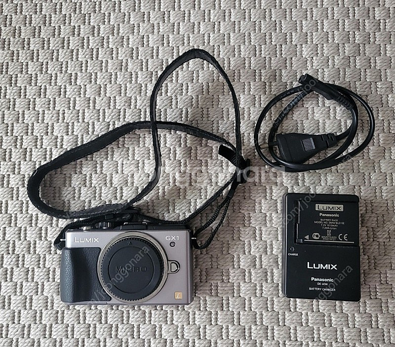 파나소닉 GX1 + 20.7 렌즈--5