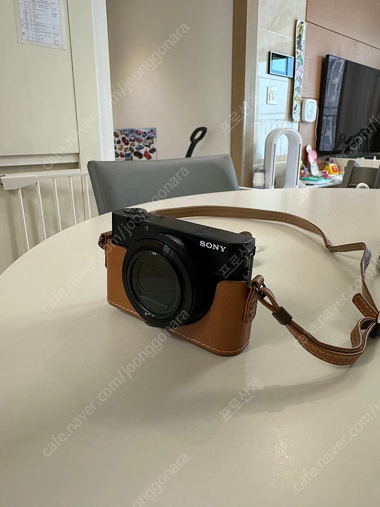 소니 RX100M5a 이미지