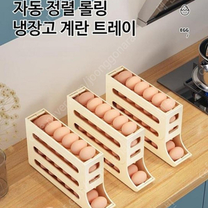 자동 추출 롤링 냉장고 계란 트레이