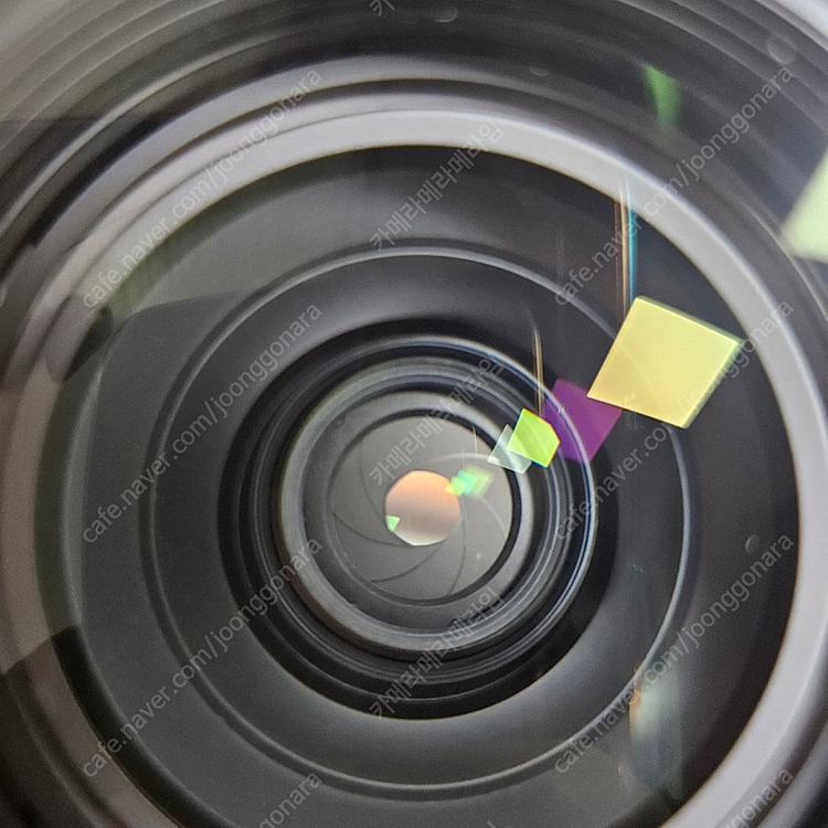 (신동급)니콘 Z5+2470f4 이미지