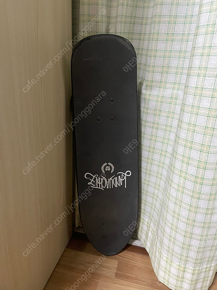 랜디야츠 딩기 크루저 보드 이미지