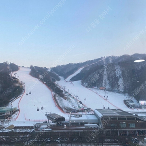 비발디파크 리프트+렌탈권 직거래