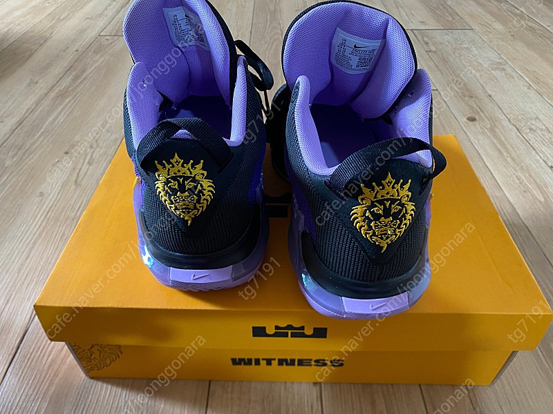 위트니스 7 이미지