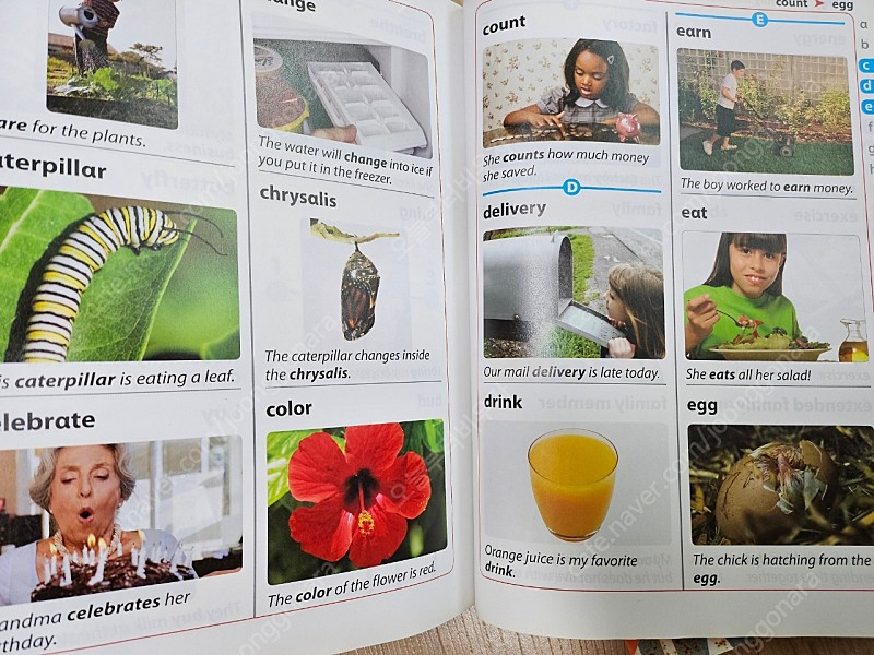 미국교과서 내셔널지오그래픽 리치 REACH B,C단계 이미지